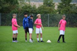 thumb DSC 3017 1024